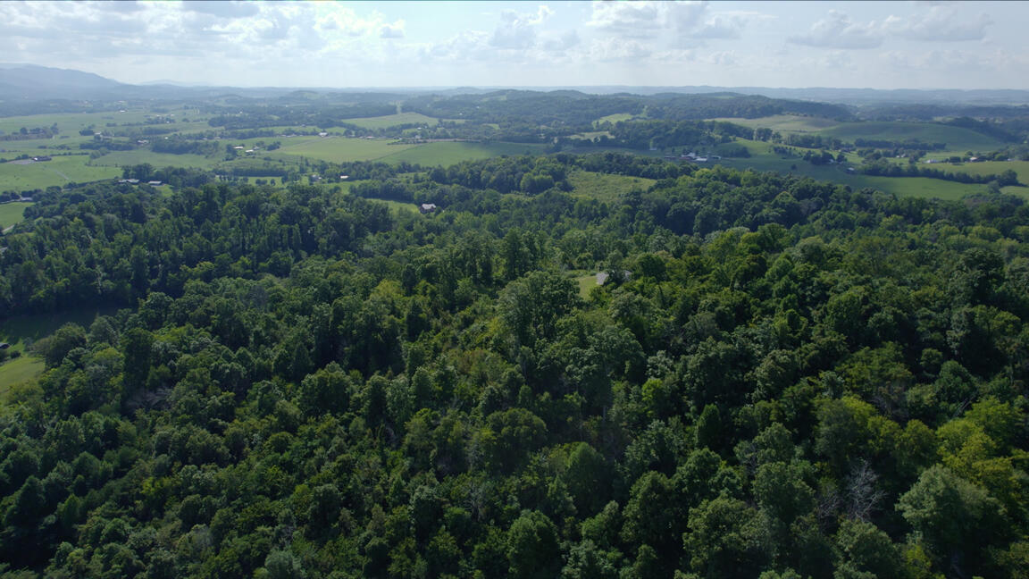 905 Taylor Bridge Road Jonesborough, TN 37659 - Photo 42 of 46 Untitled_1.2.2