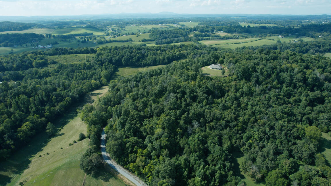 905 Taylor Bridge Road Jonesborough, TN 37659 - Photo 46 of 46 Untitled_1.1.2