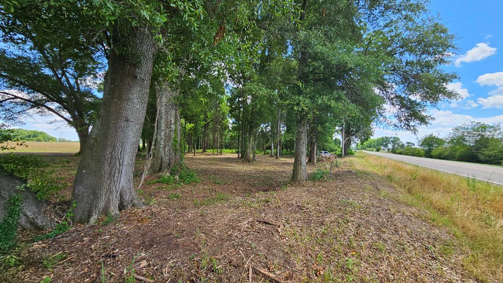 92 County Road 92 Slocomb, AL 36375 - Photo 48 of 58