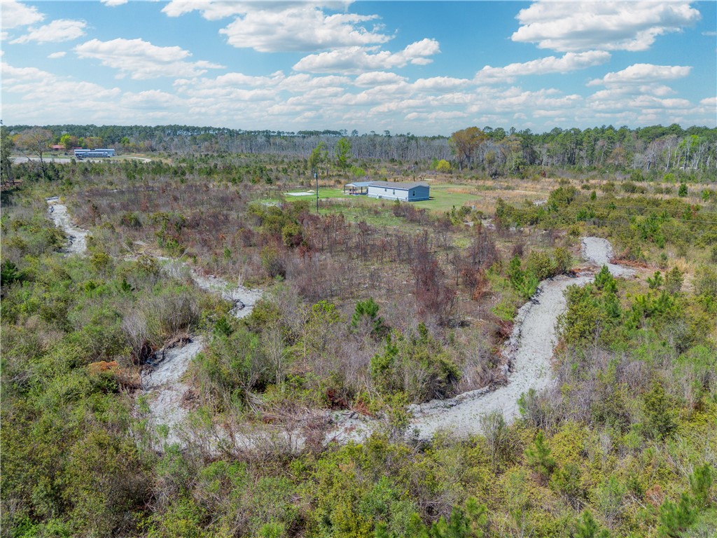 5571 Bowen Road Blackshear, GA 31516 - Photo 35 of 36