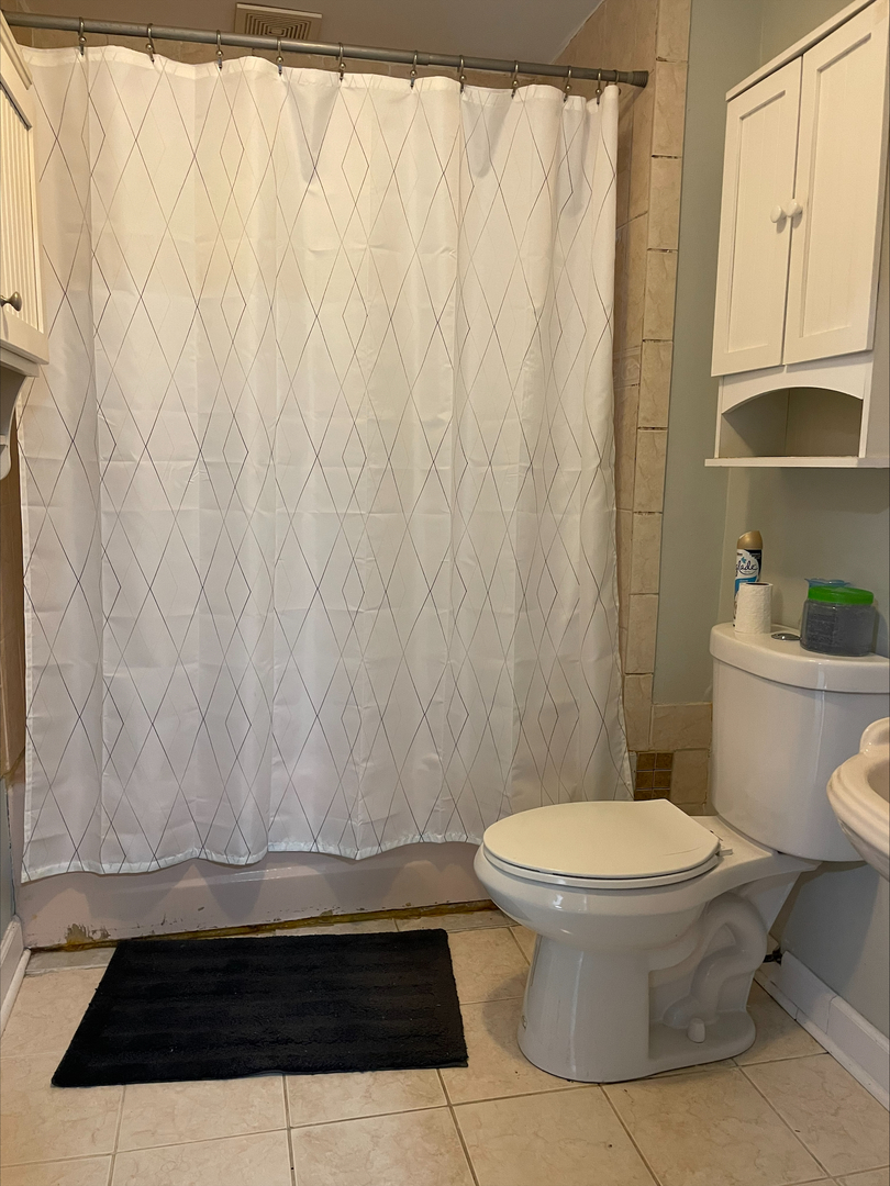 1812 South Morgan Street, Unit 1 Chicago, IL 60608 - Photo 12 of 13