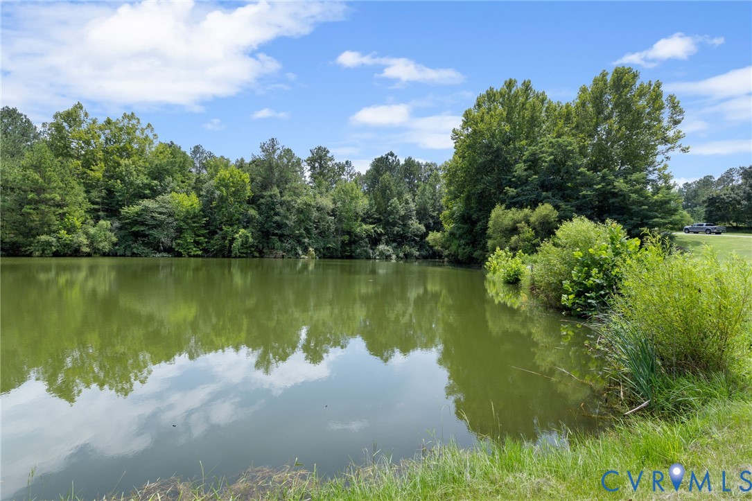 15220 River Road Chesterfield, VA 23838 - Photo 46 of 65 Serene pond featuring a grass bank, mature trees,