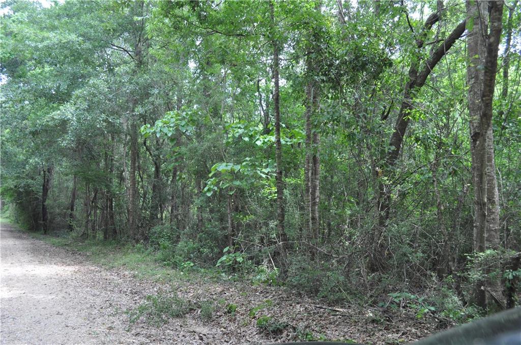 Lot 3 Elmo Bickham Road Bogalusa, LA 70427 - Photo 3 of 6 Gallery Image 3