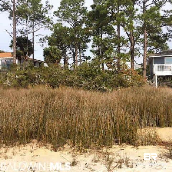 0 Moses Road Orange Beach, AL 36561 - Photo 5 of 6