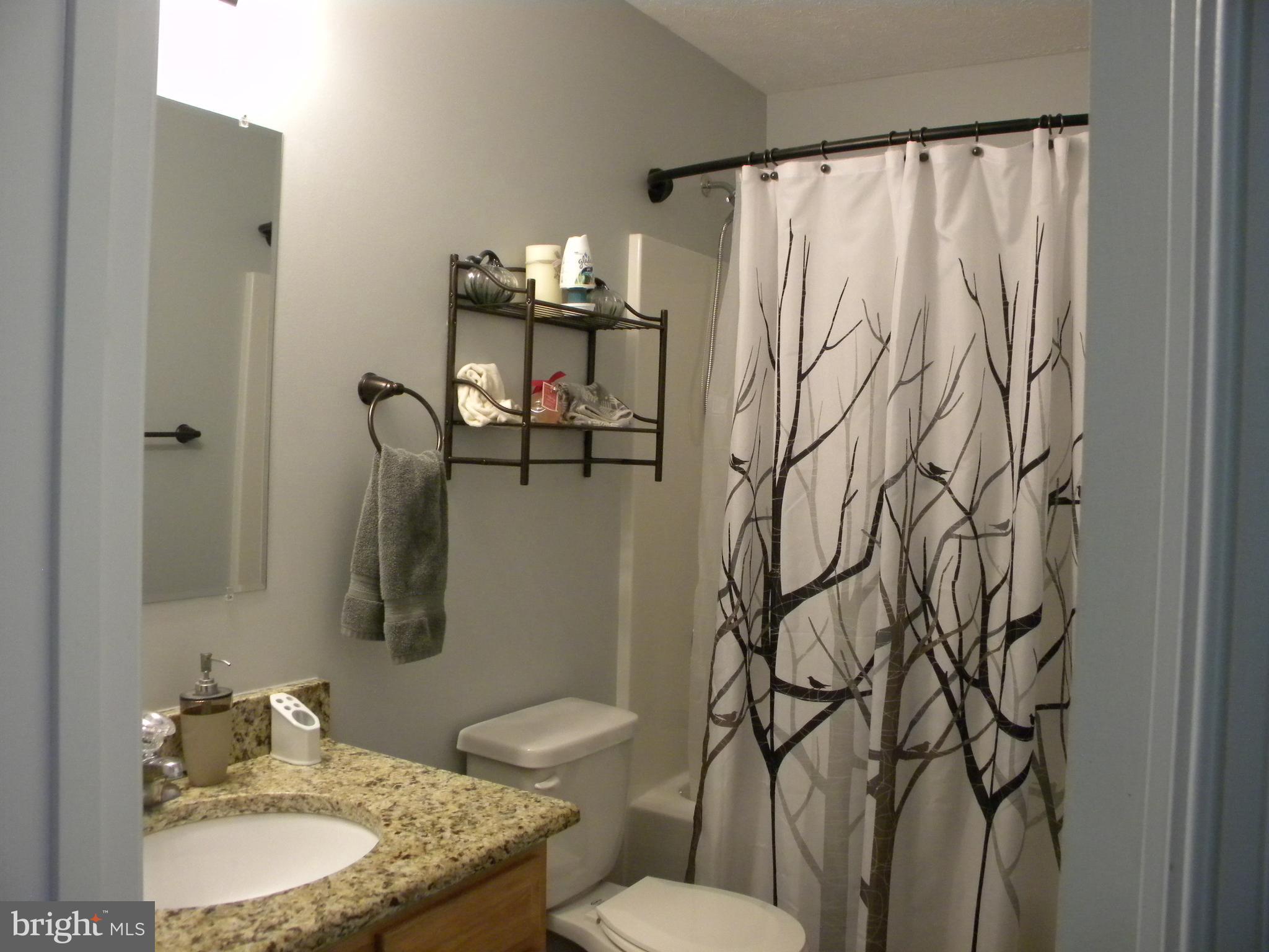 551 Pine Ridge Drive Front Royal, VA 22630 - Photo 12 of 30 Bath