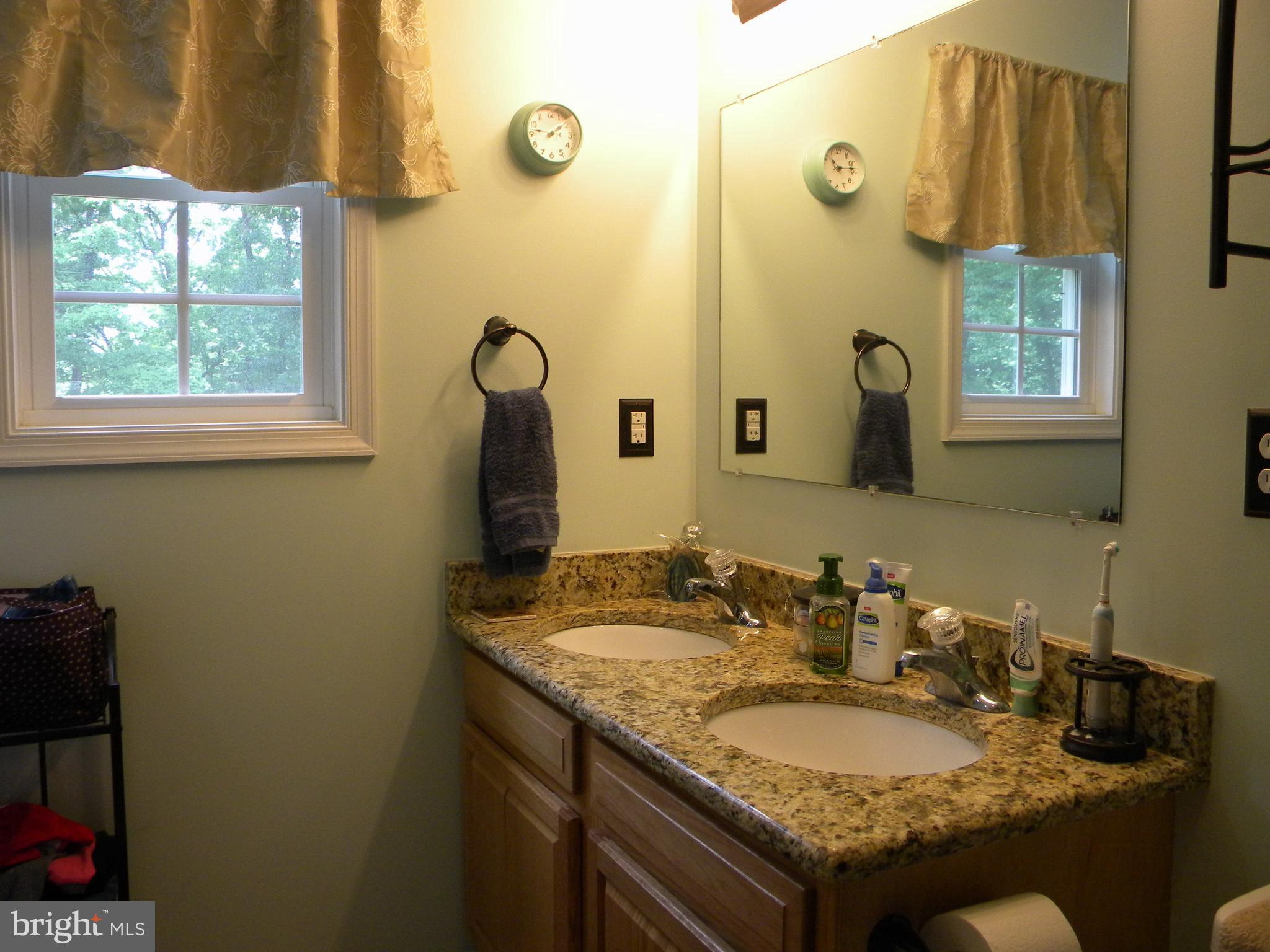 551 Pine Ridge Drive Front Royal, VA 22630 - Photo 17 of 30 Bath (Master)
