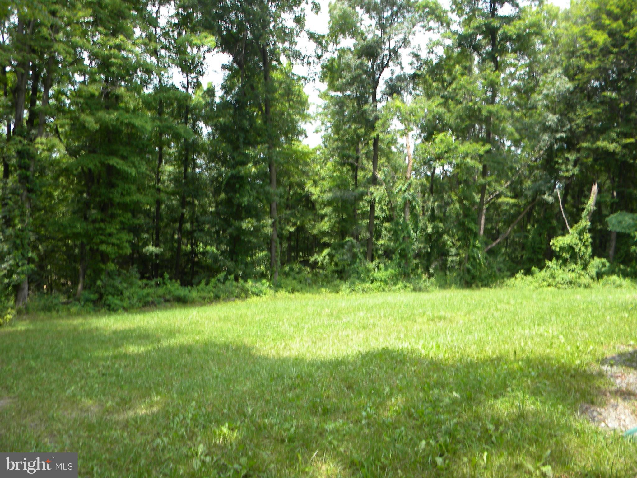 551 Pine Ridge Drive Front Royal, VA 22630 - Photo 27 of 30 View