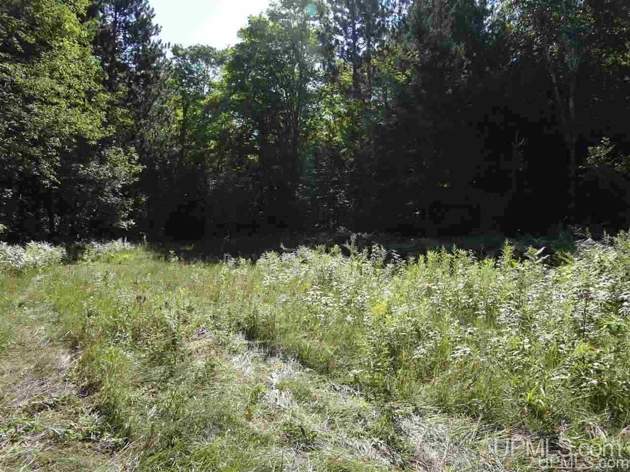 21660 Newberry Road Pelkie, MI 49958 - Photo 20 of 40