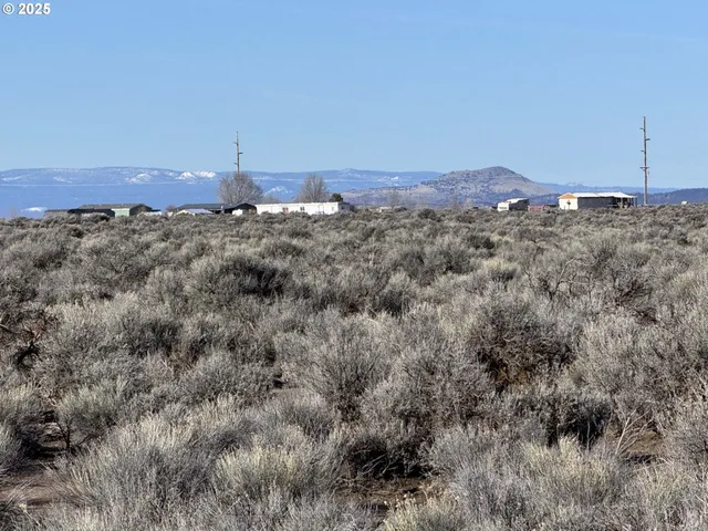 a view of a dry yard