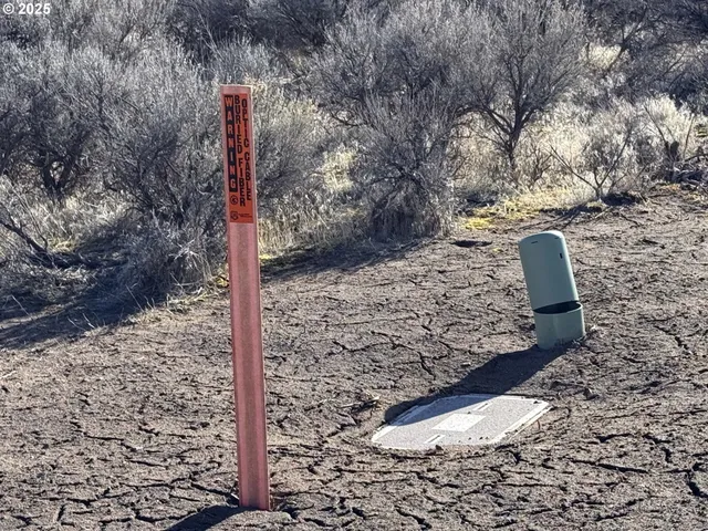 a view of a dry grass field