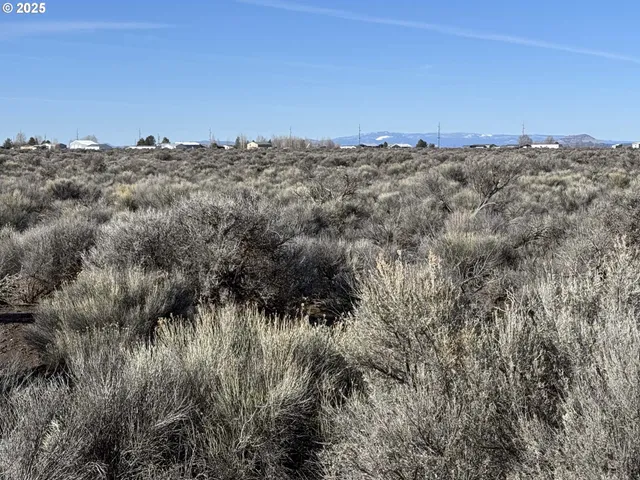 a view of a dry yard