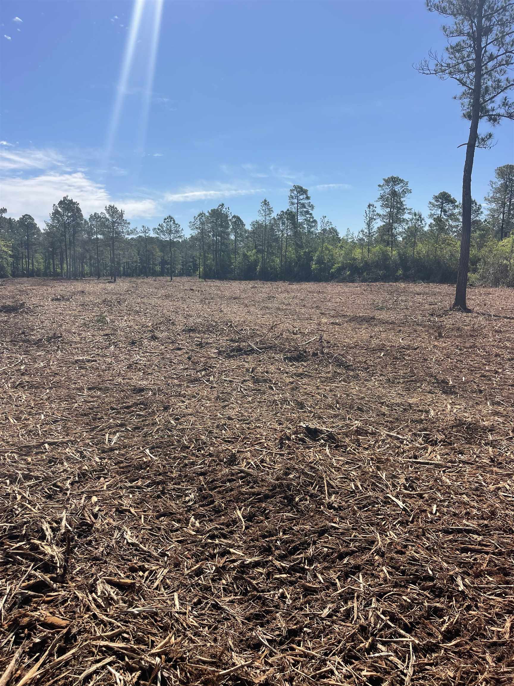 Tbd Tbd Mount Loris, SC 29569 - Photo 11 of 26