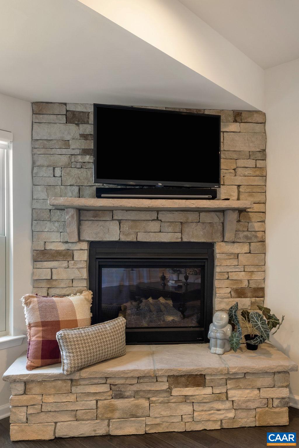 1516 Delphi Lane Charlottesville, VA 22911 - Photo 28 of 74 a living room with furniture a flat screen tv and a fireplace
