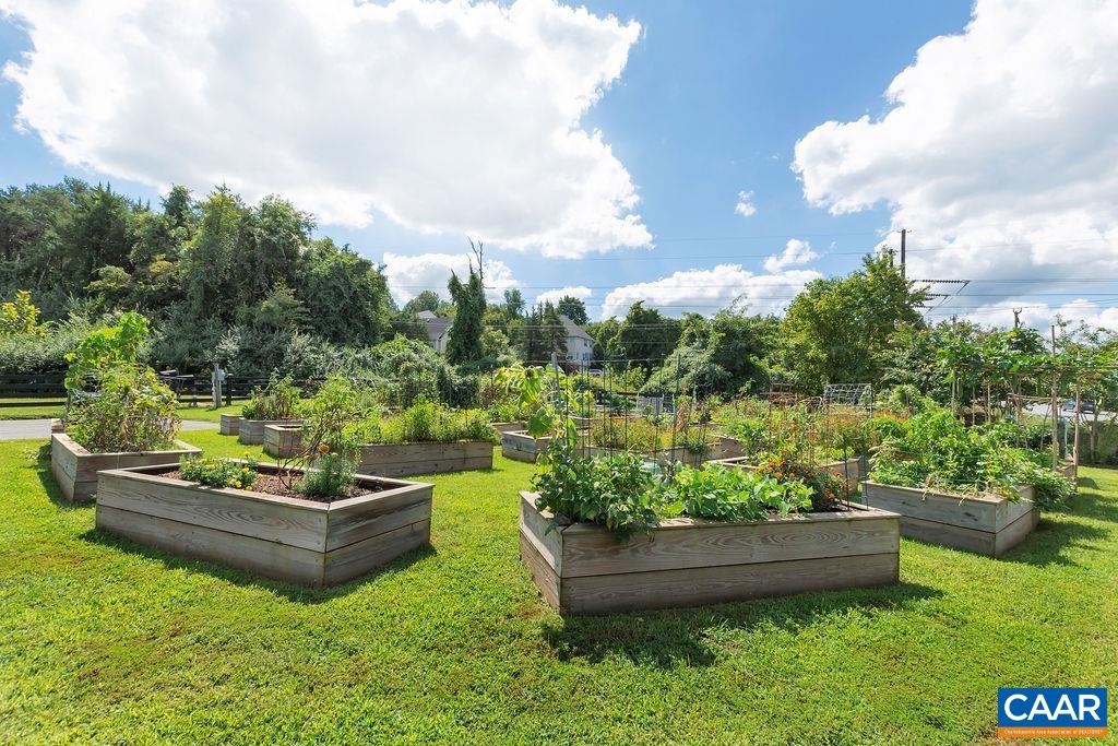 1516 Delphi Lane Charlottesville, VA 22911 - Photo 65 of 74 a garden view with a seating space