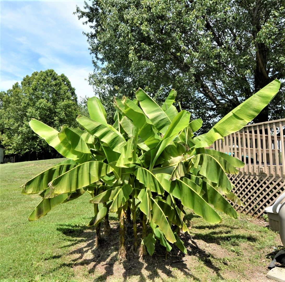 1299 West Maple Grove Road Boonville, IN 47601 - Photo 27 of 33 Gallery Image 27
