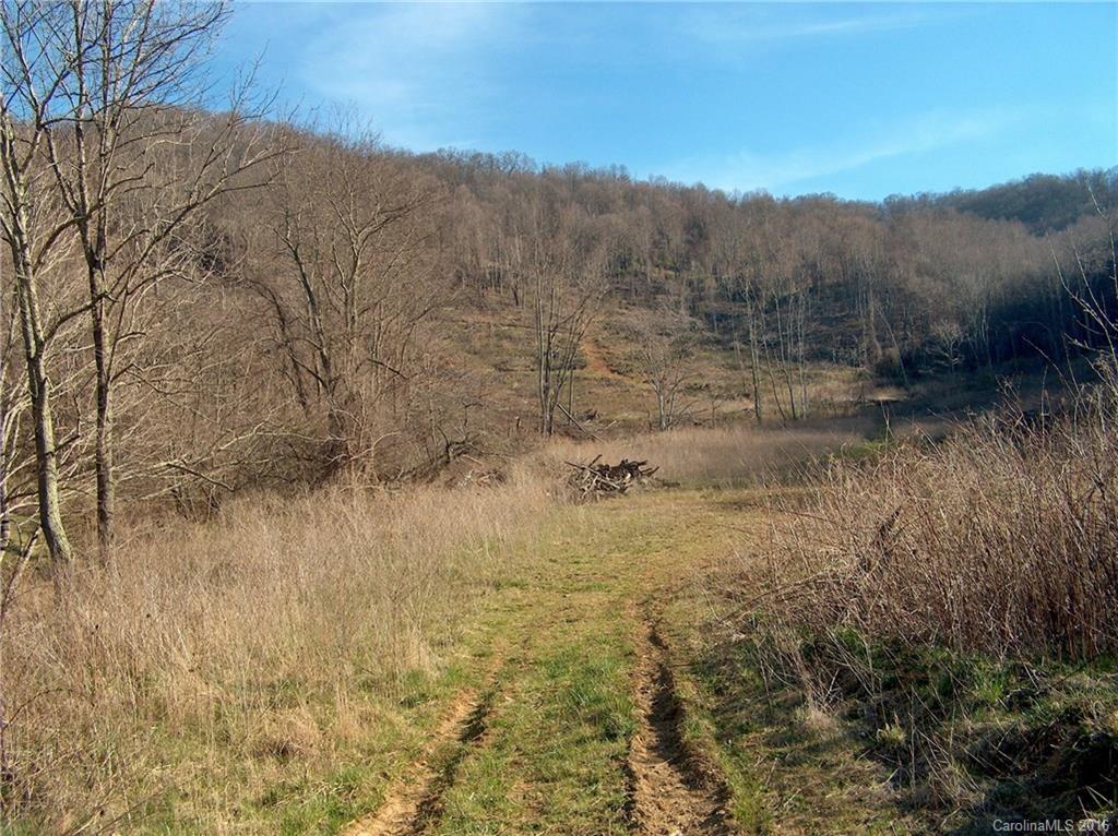 Land Off West Cove Road Canton, NC 28716 - Photo 1 of 24 a view of a dry yard with green space
