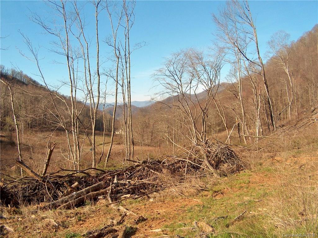 Land Off West Cove Road Canton, NC 28716 - Photo 2 of 24 a view of a backyard of the house