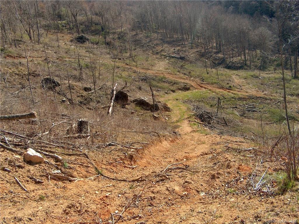 Land Off West Cove Road Canton, NC 28716 - Photo 12 of 24 a view of a dry yard with wooden fence