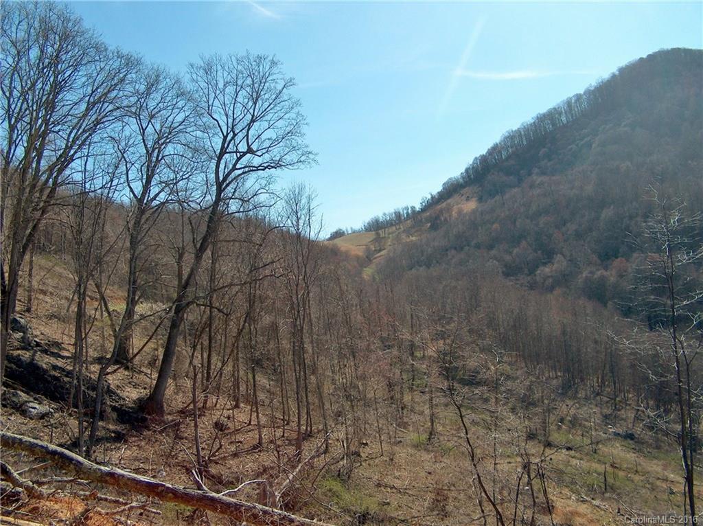 Land Off West Cove Road Canton, NC 28716 - Photo 14 of 24