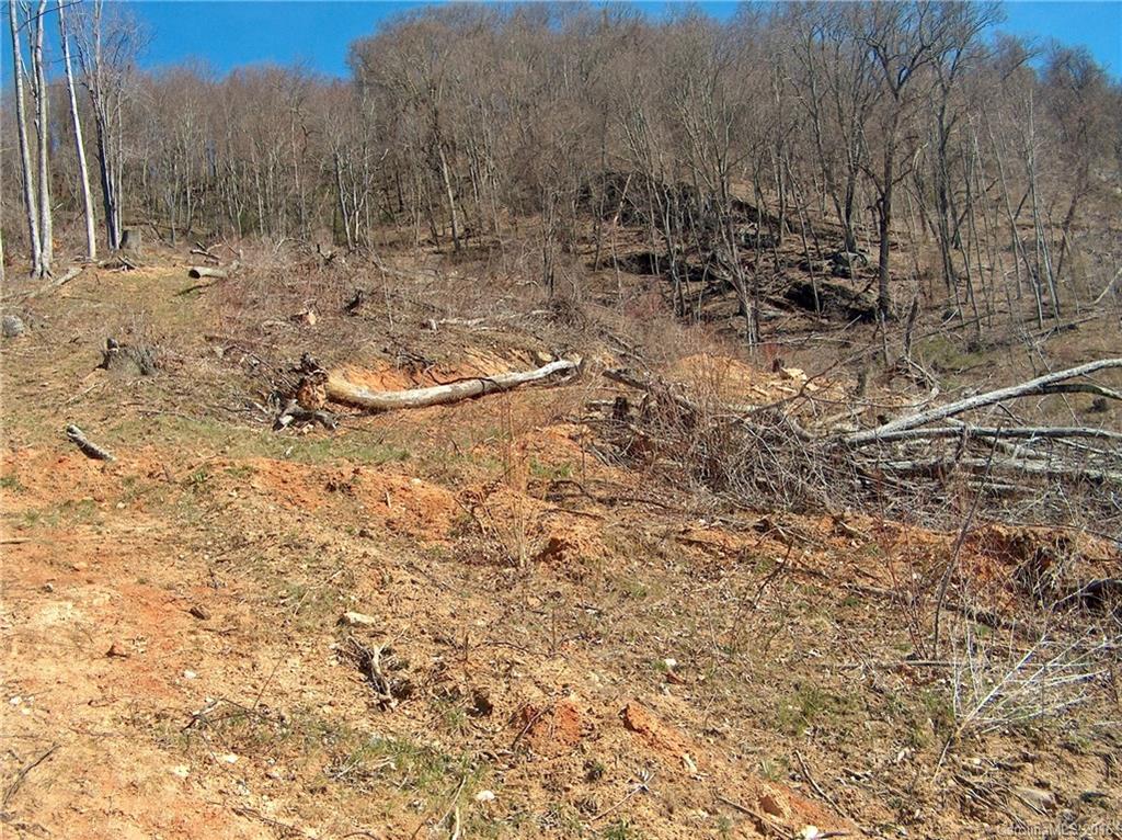 Land Off West Cove Road Canton, NC 28716 - Photo 16 of 24 a view of a dry yard with trees