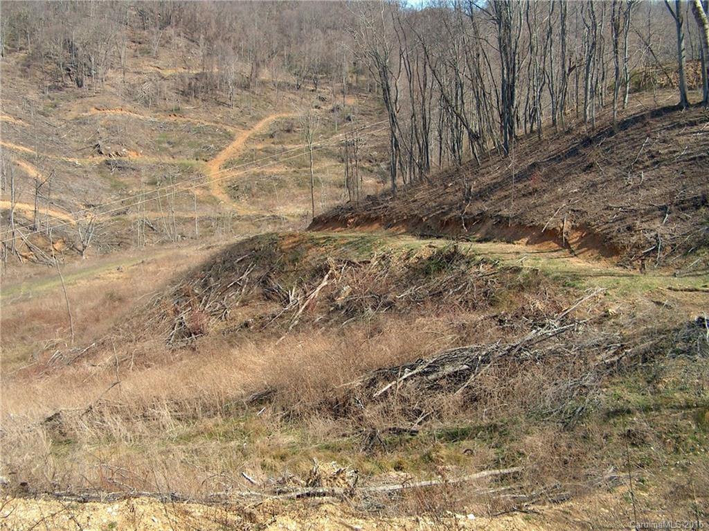 Land Off West Cove Road Canton, NC 28716 - Photo 17 of 24 a view of a yard