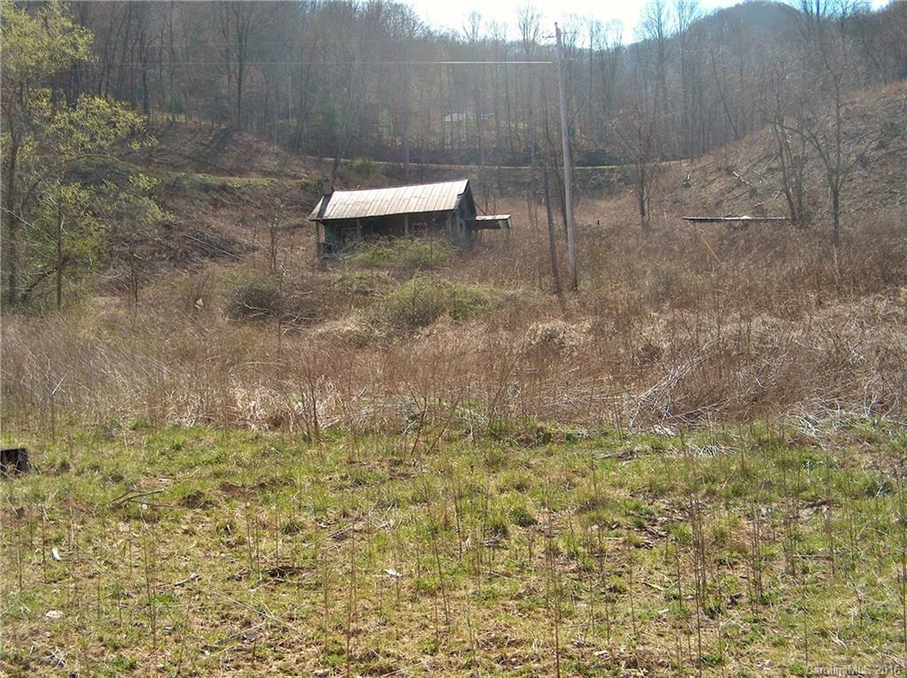 Land Off West Cove Road Canton, NC 28716 - Photo 19 of 24 a view of a backyard