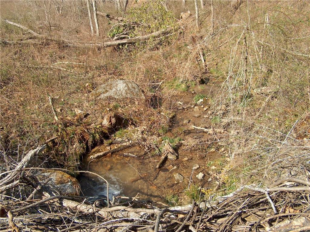 Land Off West Cove Road Canton, NC 28716 - Photo 20 of 24