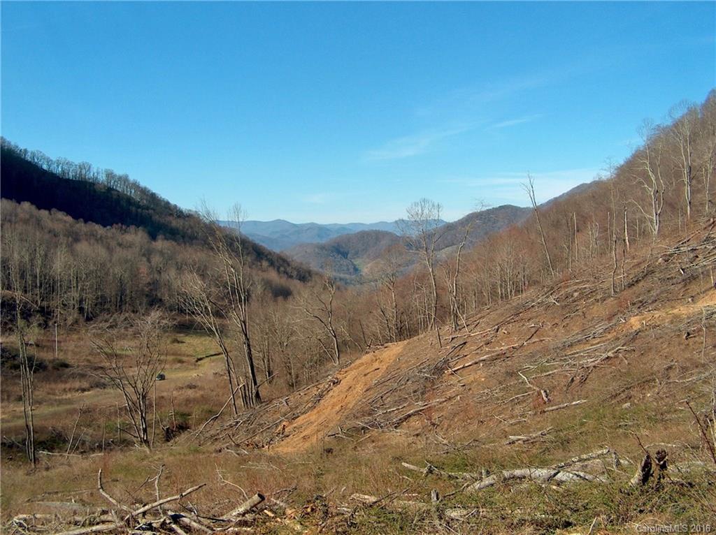 Land Off West Cove Road Canton, NC 28716 - Photo 3 of 24 a view of a dry yard