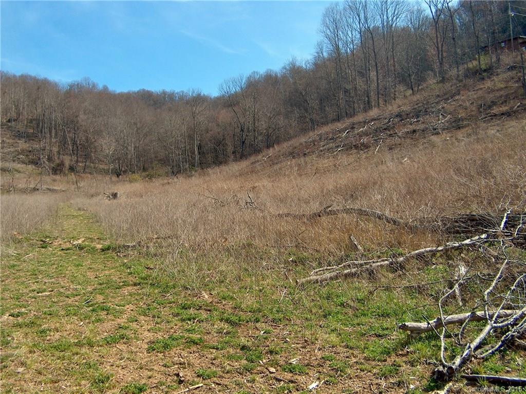 Land Off West Cove Road Canton, NC 28716 - Photo 21 of 24 a view of a dry yard with wooden fence