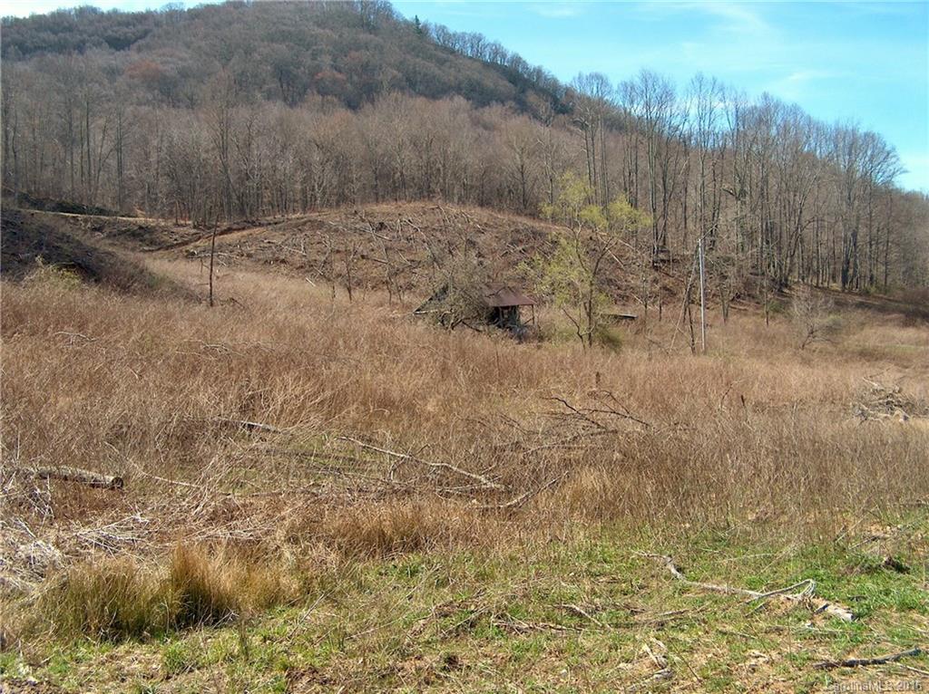 Land Off West Cove Road Canton, NC 28716 - Photo 22 of 24 a view of a yard