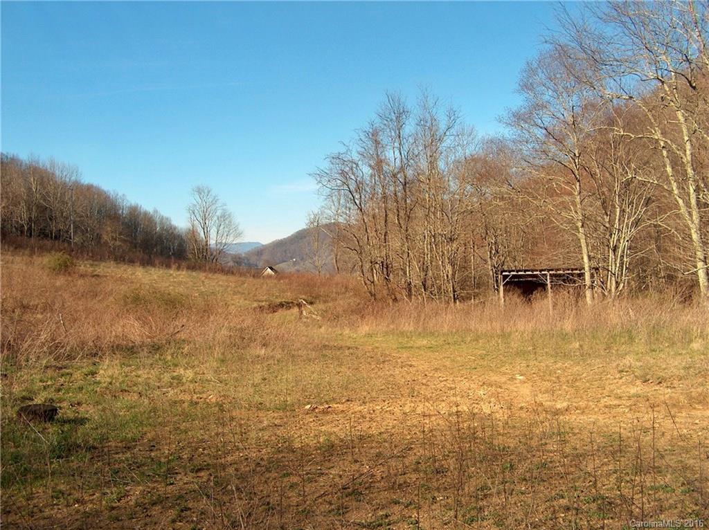 Land Off West Cove Road Canton, NC 28716 - Photo 23 of 24 a view of a lake view