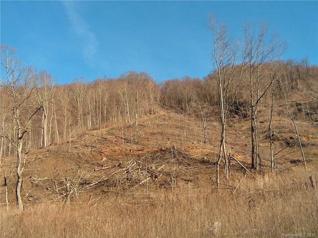 Land Off West Cove Road Canton, NC 28716 - Photo 4 of 24 a view of a dry yard with mountains in the background