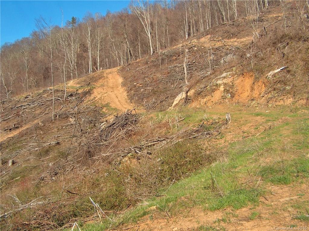 Land Off West Cove Road Canton, NC 28716 - Photo 5 of 24 a view of a yard with trees in the background