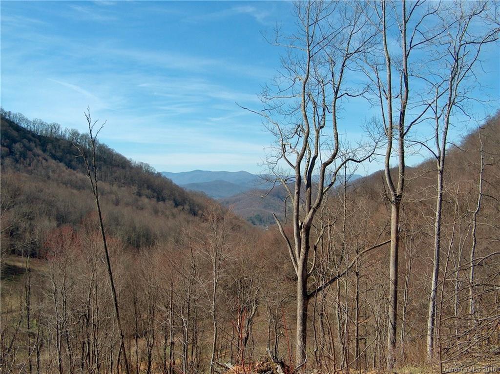 Land Off West Cove Road Canton, NC 28716 - Photo 6 of 24