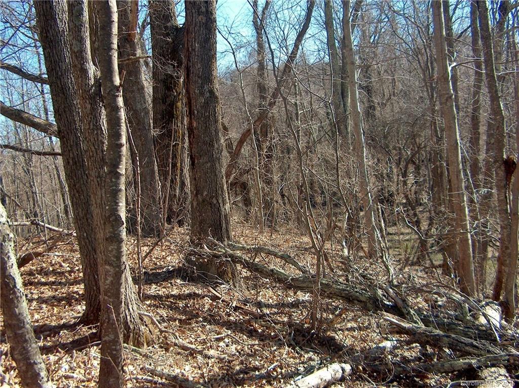 Land Off West Cove Road Canton, NC 28716 - Photo 9 of 24 a view of a yard with trees