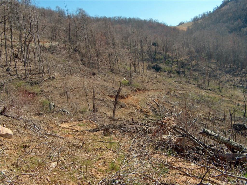 Land Off West Cove Road Canton, NC 28716 - Photo 10 of 24 a view of a yard with trees in the background
