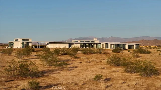a view of a big yard with a large tree