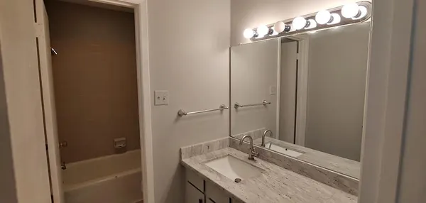 a bathroom with a tub sink vanity and a mirror