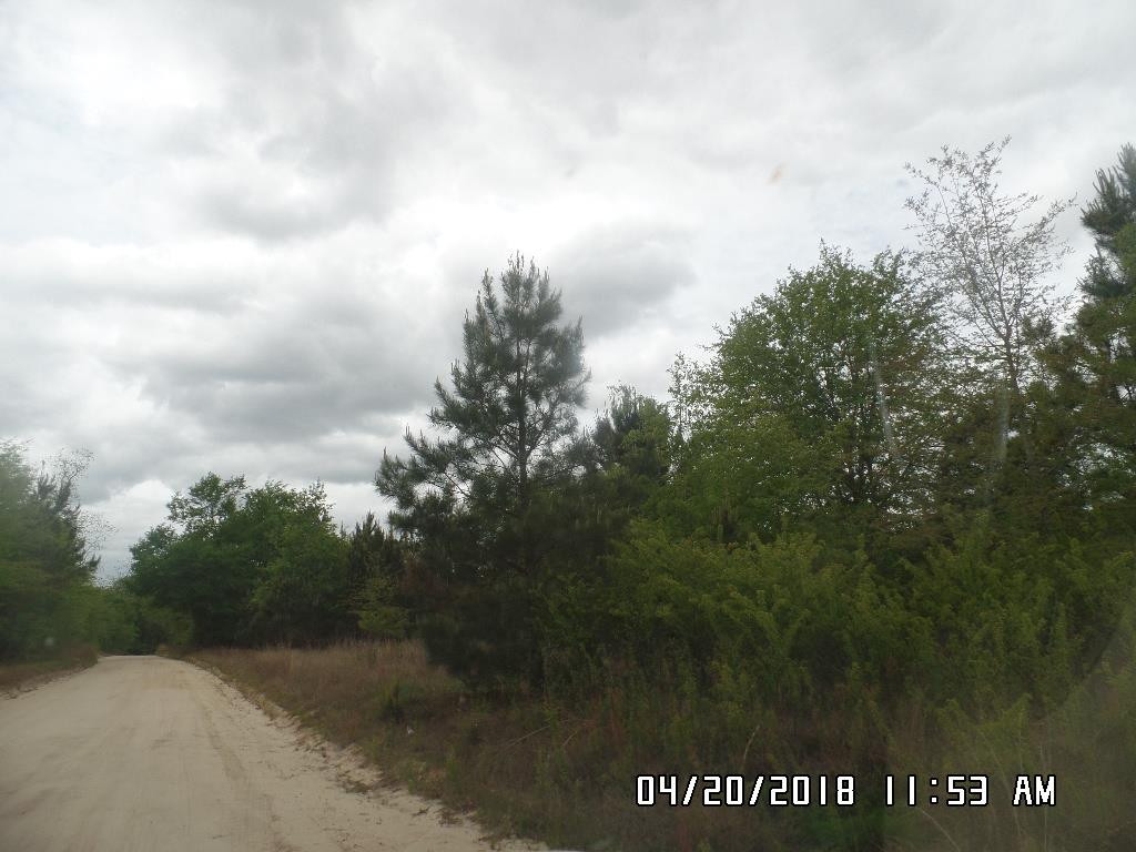 0 Thunder Cooks Mill Olar, SC 29843 - Photo 2 of 2