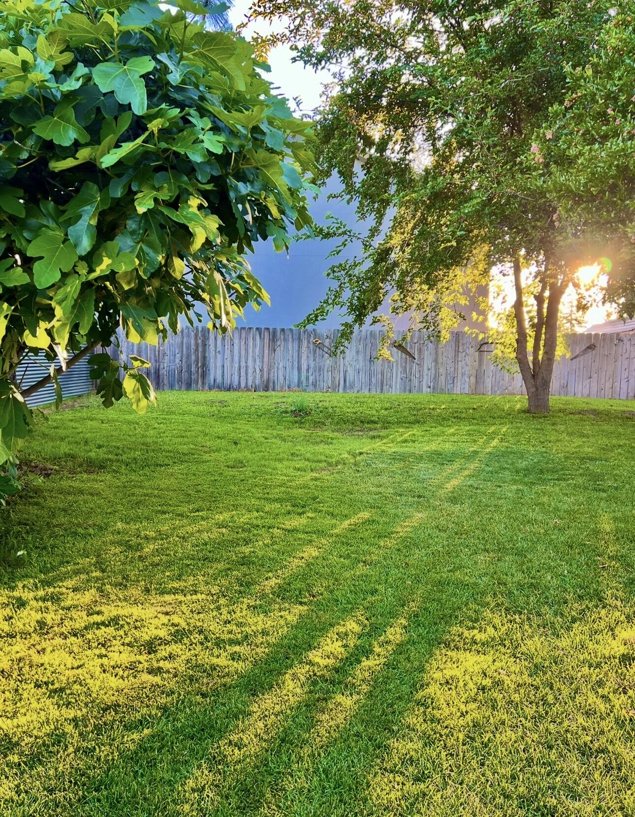 229 Gibbon Road Central Point, OR 97502 - Photo 25 of 25 a view of a big yard with large trees and wooden fence