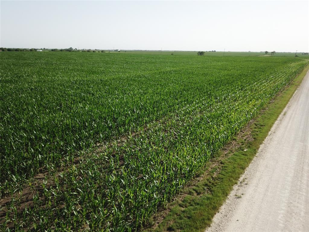674 State Highway 171 Hubbard, TX 76648 - Photo 17 of 23 a view of a lush green space with sea