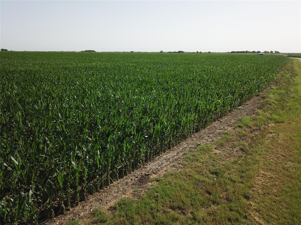 674 State Highway 171 Hubbard, TX 76648 - Photo 19 of 23 a view of a lush green space with sea