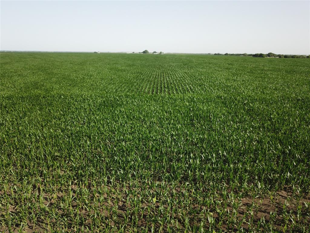 674 State Highway 171 Hubbard, TX 76648 - Photo 20 of 23 a view of a lush green space