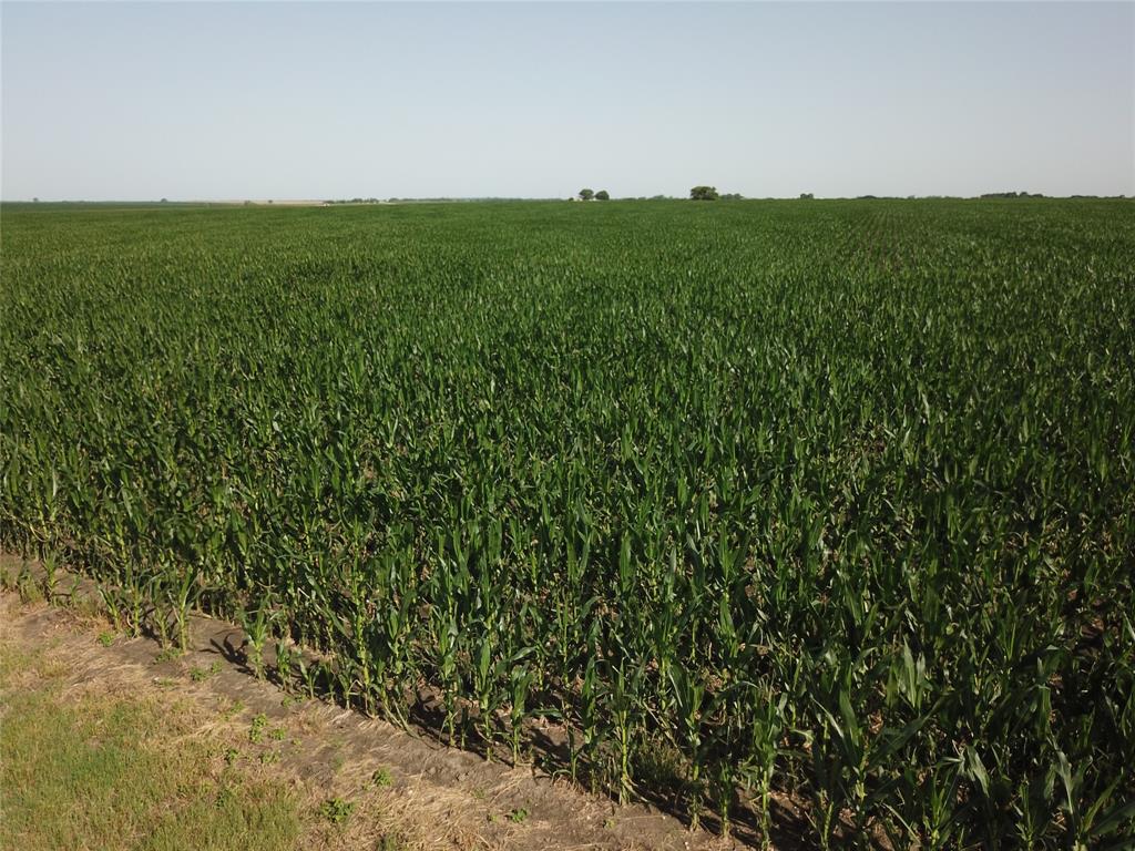 674 State Highway 171 Hubbard, TX 76648 - Photo 23 of 23 a view of a green field with lots of bushes