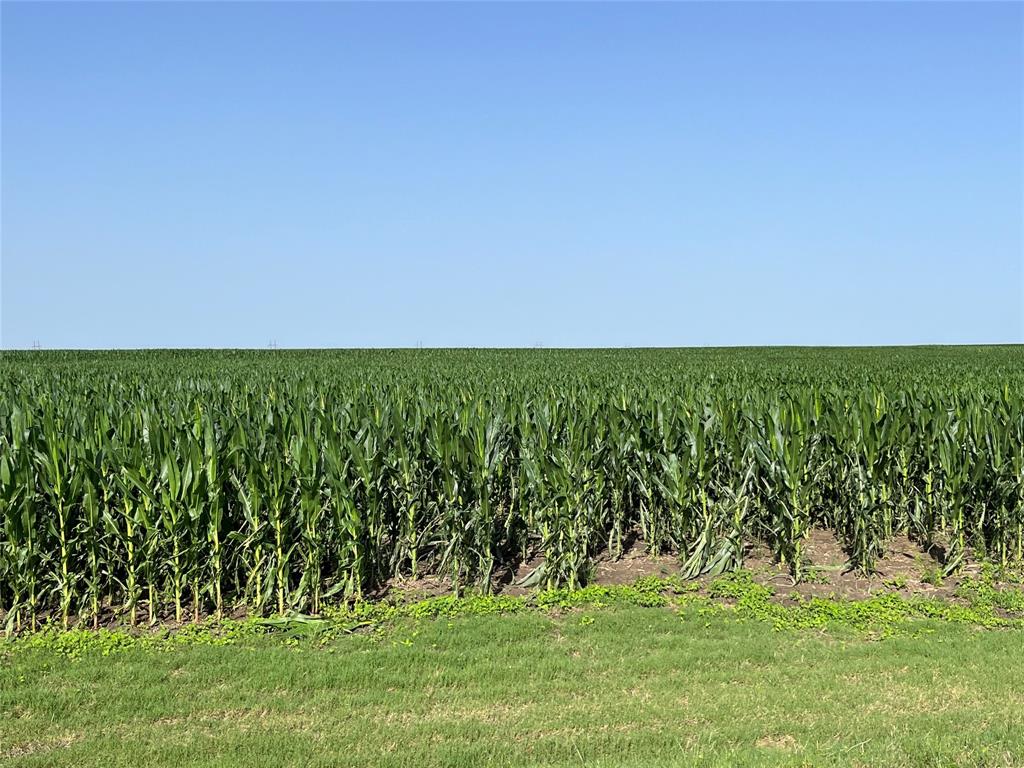 674 State Highway 171 Hubbard, TX 76648 - Photo 3 of 23 a view of a field with a trees in the background