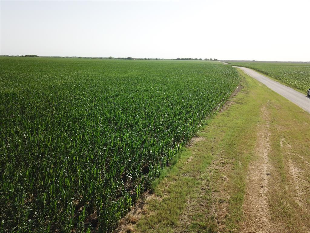 674 State Highway 171 Hubbard, TX 76648 - Photo 6 of 23 a view of yard with ocean view