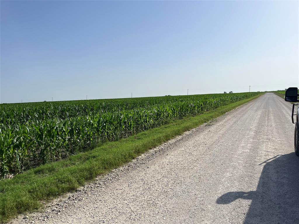 674 State Highway 171 Hubbard, TX 76648 - Photo 9 of 23 a view of a field with grass and trees