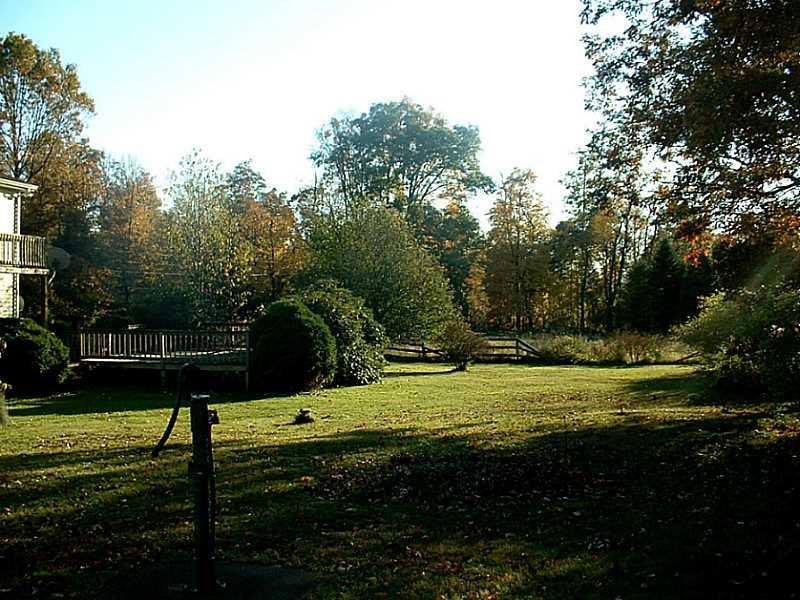 1751 Mulberry Road Cherry Tree, PA 15724 - Photo 7 of 9 Land/Lot. Almost 4 Acres of land - Partially Wooded.