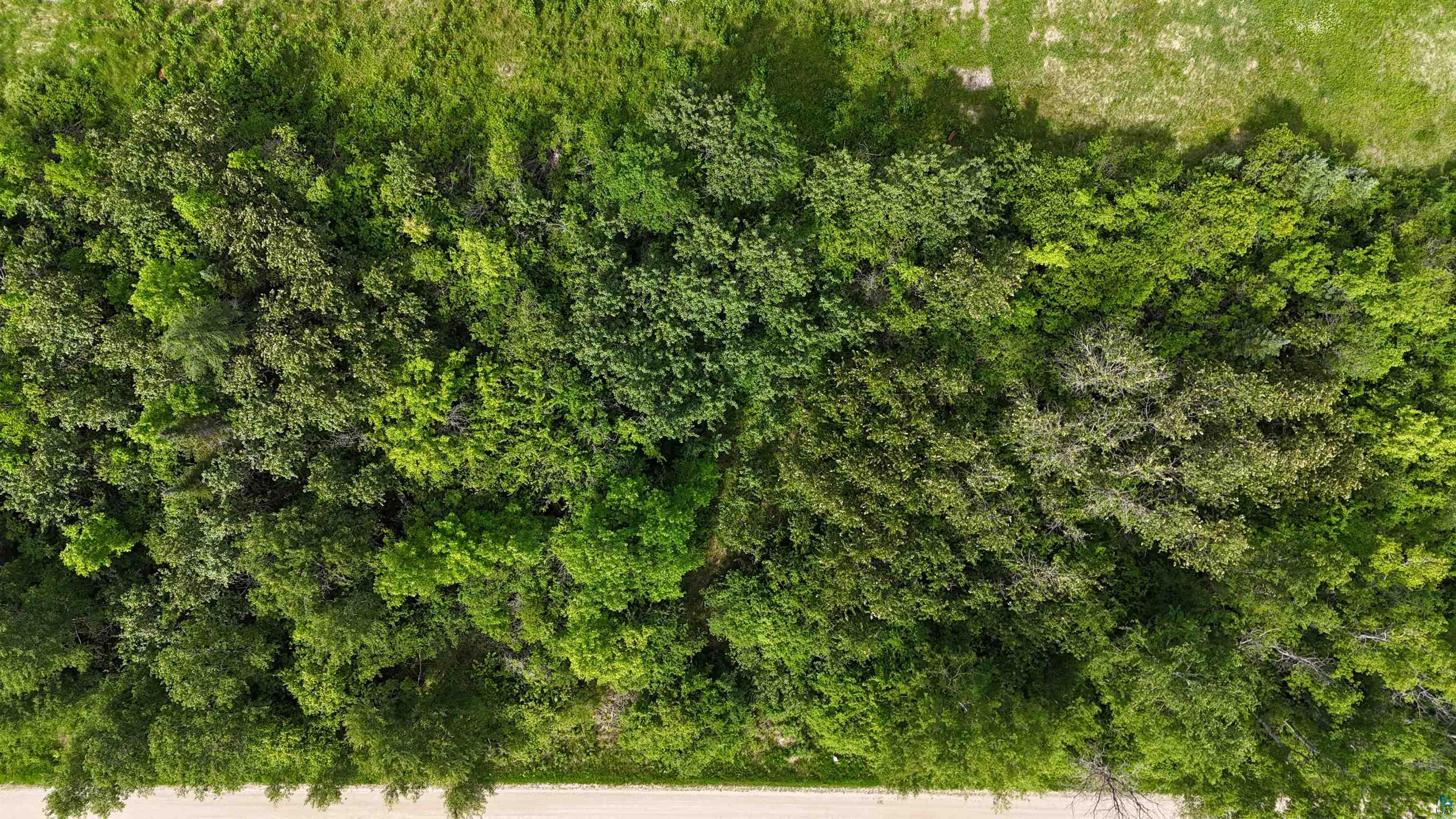 Lot 1 Parameter Road Deer River, MN 56636 - Photo 9 of 11 Gallery Image 9