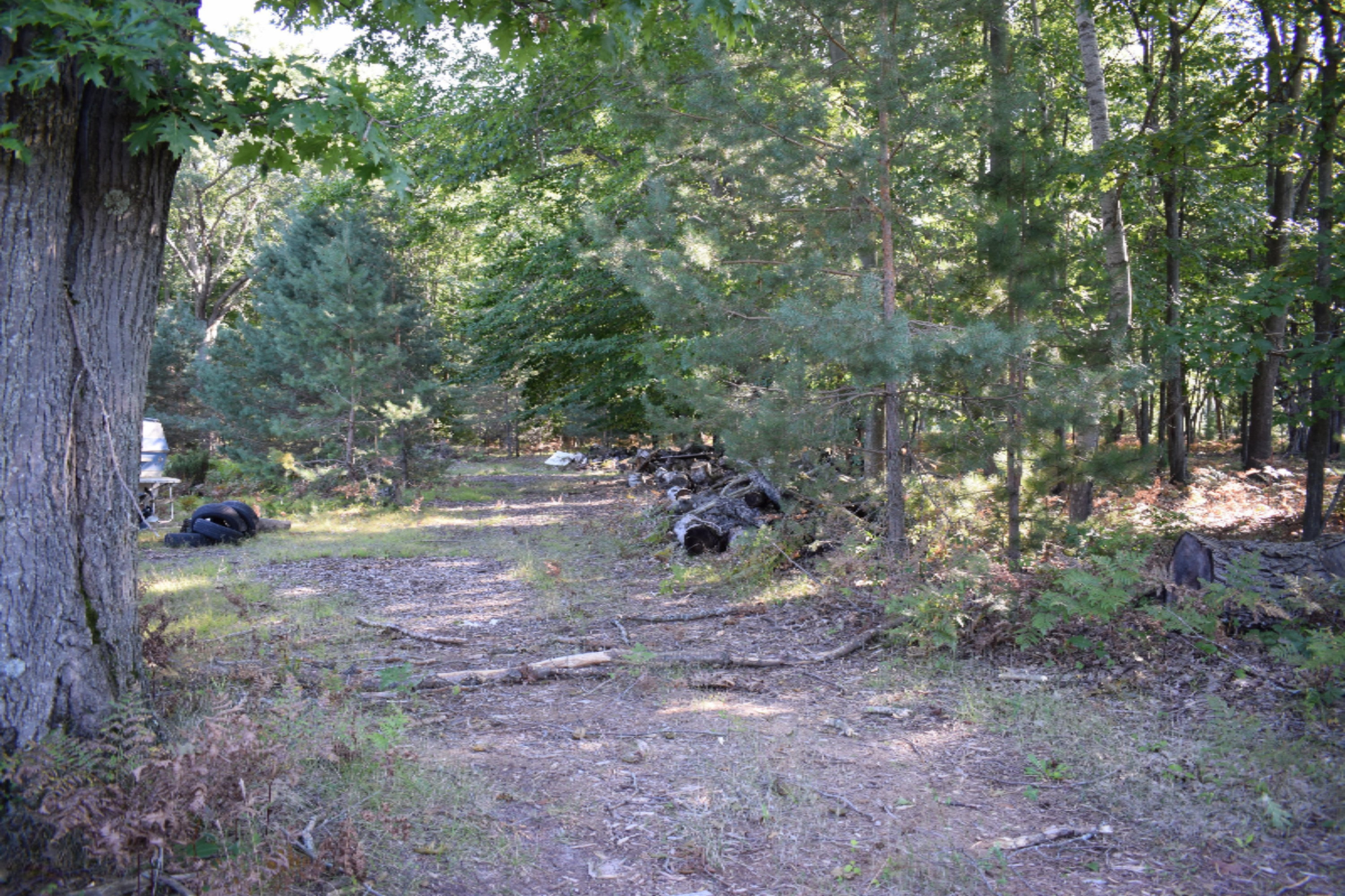 2995 South County Line Road Manistee, MI 49660 - Photo 1 of 9 DSC_0021